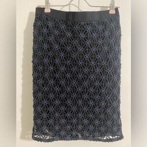 Ann Tailor skirt